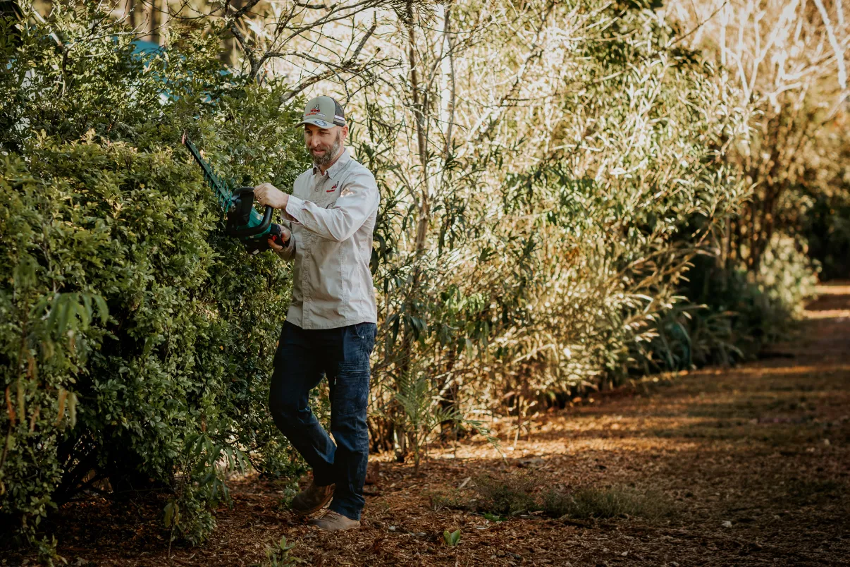 Man cutting back his hedge.